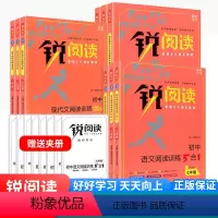 文言文+现代文100篇+阅读训练5合1 九年级/初中三年级 [正版]锐阅读初中语文文言文训练现代文阅读100篇阅读训练5