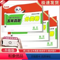 [语文+数学+英语]五年真题分类卷 小学升初中 [正版]2024小白鸥星空小升初真题分类卷小学毕业升学重点中学招生分班真