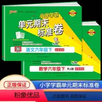 下册 语文+数学 人教版 小学六年级 [正版]2024新版PASS小学学霸单元期末标准卷六年级下册语文数学人教版小学生同