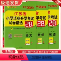 备考2023[三本套装]小升初语数英 小学升初中 [正版]2023新版小升初江苏省小学毕业升学考试试卷精选28套卷语文数