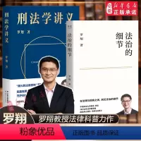 [正版]刑法学讲义+法治的细节套装2册 B站罗翔给大众的普法书 讲刑法普法力作法律知识读物 法学普及民法典法律罗翔书籍