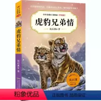 虎豹兄弟情 [正版]中外动物小说精品升级版第六辑·虎豹兄弟情