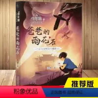 [正版]童趣 爸爸的雨花石 “少年智”中国原创书籍 一个孩子1973年的南京记忆 三四五六年级小学生课外阅读经典书籍儿