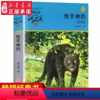 [正版] 牧羊神豹 沈石溪动物小说升级完整版全本6-7-10-12-15岁儿童文学三四五六年级小学生课外阅读书籍少儿文