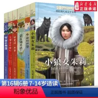 [第十六辑共6册]长青藤国际大奖小说 [正版]长青藤国际大奖小说书系第十六辑16季小狼女朱莉索菲娜的诺言外面的世界宇宙的