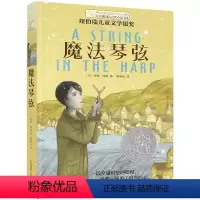 魔法琴弦 [正版]长青藤国际大奖小说 魔法琴弦 10-14周岁三四五六年级小学生课外阅读 儿童文学青春励志故事读物图书籍