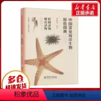 [正版]中国常见海洋生物原色图典 腔肠动物 棘皮动物 魏建功,曾晓起,李洪武 编 海洋学少儿 书店图书籍 中国海洋大学
