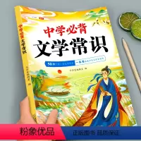 [提升文学素养]初中必背文学常识 初中通用 [正版]2024新版斗半匠初中生必背文学文化常识大全小学生语文知识积累手册一