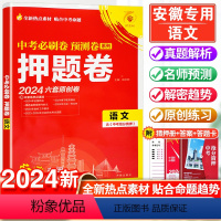 押题卷·语文 安徽省 [正版]2024版中考必刷卷押题卷语文安徽版名师原创高初中初三总复习冲刺模拟试卷高考必刷题临考冲刺