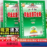 总复习全解·语文+数学+英语-3本套 小学升初中 [正版]2024薛金星小升初毕业总复习全解语文数学英语全套必刷题人教版