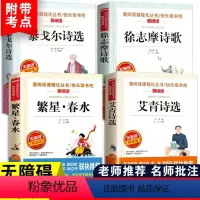 [正版]小学生现代诗歌精选四年级繁星春水艾诗集戈尔诗选徐志摩诗歌中国诗歌精选全集三五六年级必读课外书老师精选全套4册儿