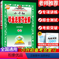 [正版]2023薛金星小升初毕业总复习全解数学全套人教版小学毕业升学知识大全必刷题小升初知识大集结真题卷模拟卷六年级下