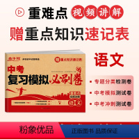 中考复习模拟必刷卷·语文 初中通用 [正版]2024新版中考复习模拟必刷卷语文数学英语物理化学必刷题九年级中考真题试卷初