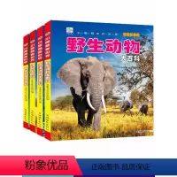 [正版]动物大百科 海洋动物 动物 鸟类昆虫百科全书彩图注音版少儿动物世界百科全书 幼儿动物图鉴 中小学生科普启蒙知识