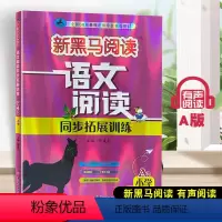 语文阅读同步拓展训练 A版 小学四年级 [正版]2023新版 新黑马阅读语文阅读同步拓展训练小学四4年级A版 通用版小学