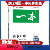 数学[人教版] 九年级下 [正版]2024版一本初中数学九年级同步训练上下册 人教版华师版 初中生中考数学辅导练习题 初