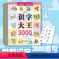 识字大王3000字 [正版]识字大王3000字幼儿园中大班学前认字幼儿幼小衔接小学一年级早教儿童看图识字书彩图注音版3-