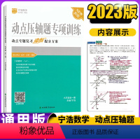 动点压轴题专项训练[通用版] 九年级/初中三年级 [正版]宁浩数学动点压轴题专项训练九年级全一册 动点专题复习冲刺提分方