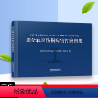 [正版] 道岔轨面伤损病害打磨图集 9787113268657 中国铁道出版社有限公司