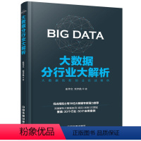 [正版] 大数据分行业大解析 大数据应用将改变我们的生活 大数据应用技术案例大全书籍 大数据应用现状 企业大数据创