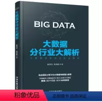 [正版] 大数据分行业大解析 大数据应用将改变我们的生活 大数据应用技术案例大全书籍 大数据应用现状 企业大数据创