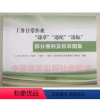 [正版] 工务日常作业违章违纪违标部分图例及标准图集 9787113230418 中国铁道出版社
