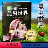 奇妙的昆虫世界 [正版] 动物生存大揭秘 奇妙的昆虫世界 科普读物黄鑫,徐中岩著少儿百科全书儿童大百科小学生课外书科普书