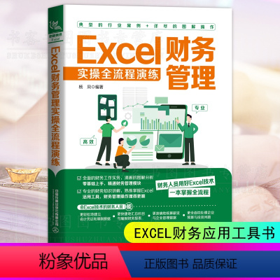 [正版] Excel财务管理实操全流程演练 杨凤编著 财务人员Excel技术一本掌握全流程高效专业财务管理报表预算投资