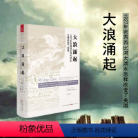 [正版] 大浪涌起 1927年密西西比河大洪水怎样改变了美国 精装 纽约公共图书馆评为过去50年间让人难忘的50本佳作