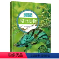 [正版] 国家地理动物百科 爬行动物 2.0版 原版引进 权威编著 3000多幅高清图片 4000多种物种范例 百科全
