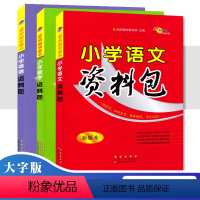 全套3册 小学通用 [正版]小学语文数学英语资料包 通用版小升初基础知识大全123456一二三四五六年级语文辅导资料教辅