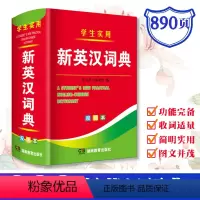 [正版]学生实用新英汉词典双色本 初中小学生英语字词翻译释义词汇例句语法知识讲解英语字辞典工具书 湖南教育出版社