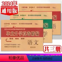 语文数学英语全3册 小学升初中 [正版]2024年毕业升学真卷精编语文数学英语全3册 6六年级小学生通用小升初中考试复习