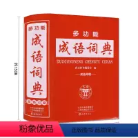多功能成语词典 小学通用 [正版]小学生全笔顺实用成语现代汉语多功能成语新英汉汉英词典双色印刷唐文辞书编委会编高中初中小