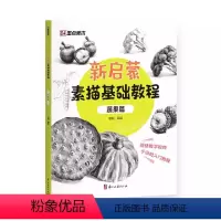 [正版]新启蒙素描基础教程蔬果篇 绘画初学者零基础入门静物范例临摹基础知识讲解 墨点美术 浙江古籍出版社