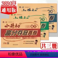 语文数学英语共3册 小学升初中 [正版]小升初高分夺冠真卷语文数学英语共3册 小升初试卷小考复习冲刺辅导资料小学六6年级