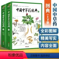 [正版]礼盒精装中国中草药图典2本精装中草药鉴别介绍中医中药材识别中草药图谱彩色图解中草药彩图大全书药书专业图鉴手册