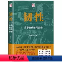 [正版] 韧性:县乡政府如何运行 呈现县乡干部的具体行为机制阐明县乡政权的活力来源 县乡政府的运作机制解读 县乡中国同