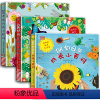 [全3册]DK经典成长小百科 [正版] DK经典成长小百科:青蛙成长小百科/蝴蝶成长小百科/向日葵成长小百科0-6岁儿童