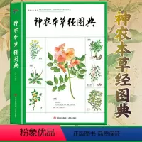 [正版] 神农本草经图典(精装)中国中草药图典中药图录本草纲目中医方剂大全 收录药物达365种细致还原每一味药物的形态