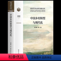 [正版] 中国乡村转型与现代化 刘守英的书土地制度与中国发展融合与乡村现代化政策研究中国经济问题三农问题土地问题的经典