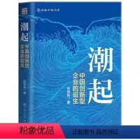 [正版] 潮起:中国创新型企业的诞生 再现中国政府和企业在工业追赶和自主创新的历程中披荆斩棘 解开中国创新型企业崛起之