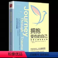 [正版] 拥抱受伤的自己:治愈心理创伤之旅 心理创伤治疗 治愈性心理学 心理学入门 心理咨询师用书 心理学咨询与治
