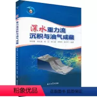 [正版]深水重力流沉积与油气成藏 李相博 等 编 地质学专业科技 书店图书籍 石油工业出版社