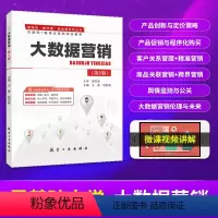 [正版]文旌课堂 大数据营销第2版王晋9787516524275 基础跨界营销产品与程序化购买入门书籍 航空工业出
