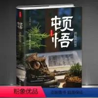 [正版]《顿悟:洒脱的智慧》精装版 中国上乘人生哲学 人生智慧 做慈悲幸福慈悲智慧快活的人 为人处世技巧心灵哲学静心励