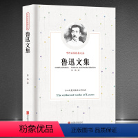 [正版]《鲁迅文集》中外名家经典文丛 现代文学小说杂文散文 经典文学作品新版典藏书籍 狂人日记呐喊阿Q正传论雷峰塔的倒