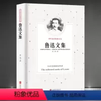 [正版]《鲁迅文集》中外名家经典文丛 现代文学小说杂文散文 经典文学作品新版典藏书籍 狂人日记呐喊阿Q正传论雷峰塔的倒