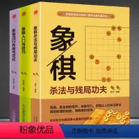 [正版]象棋3本《象棋入门与技巧》+《象棋流行布局与定式》+《象棋杀法与残局功夫》象棋入门级基本功与象棋残局技巧书籍
