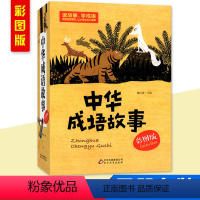 [正版] 中华成语故事 北教小雨 礼盒装全4册 彩图版 6-13岁青少年课外读物 中小学生少儿成语故事读物书籍文化知识